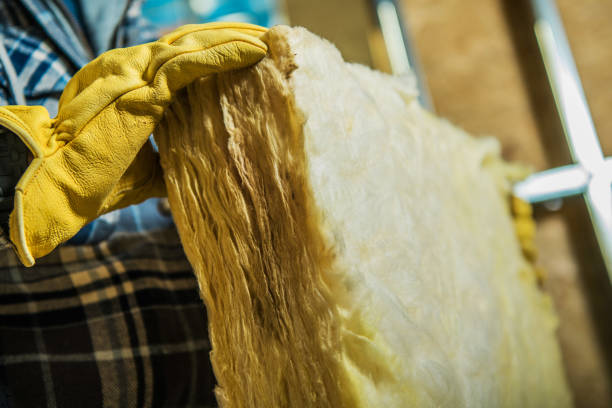 Best Blown-in Insulation in Glenn Heights, TX